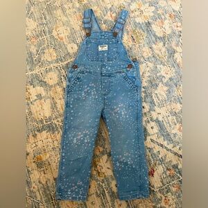 Toddler Girls Flower Print Overalls